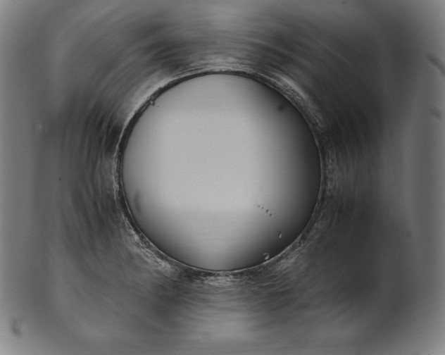 X0000101191182200807110937