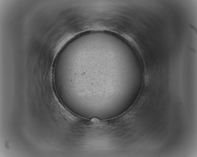X0000101191183200807110937
