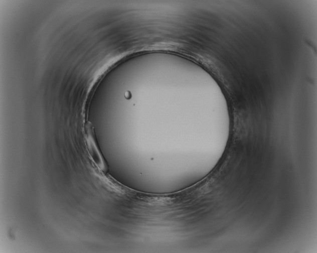 X0000101191184200807110937