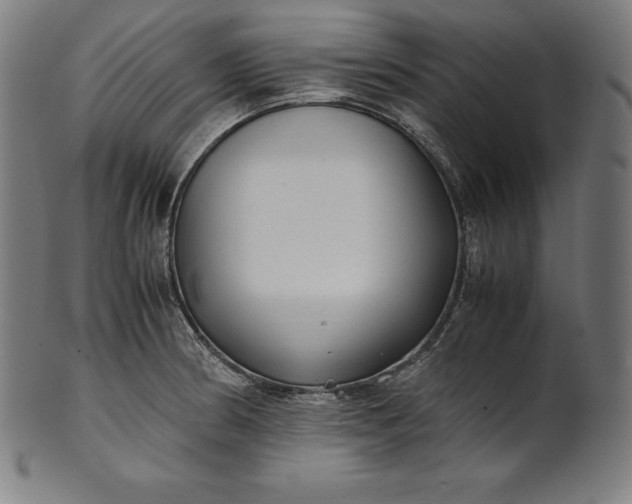 X0000101191186200807110937