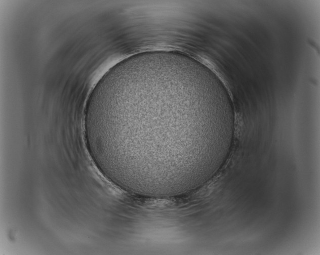 X0000101191187200807110937