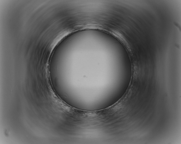 X0000101191190200807110937