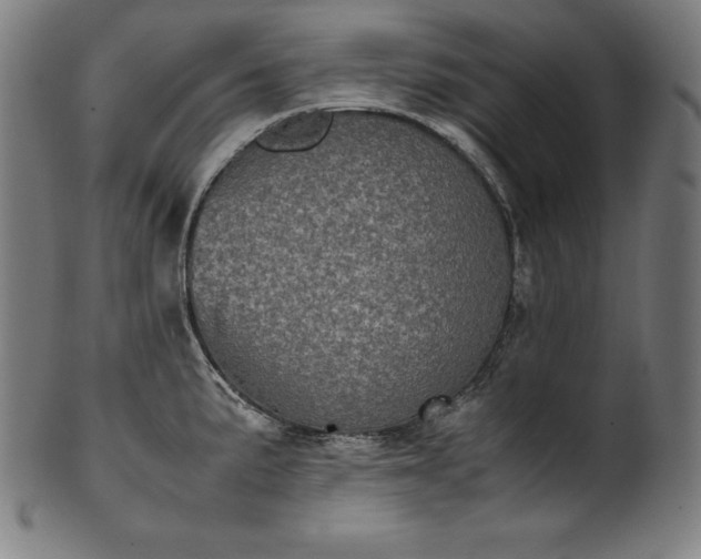 X0000101191191200807110937