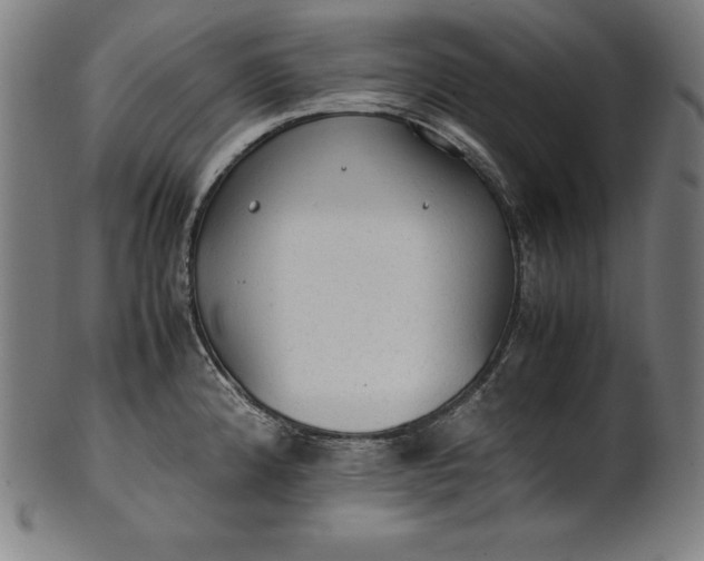 X0000101191192200807110937