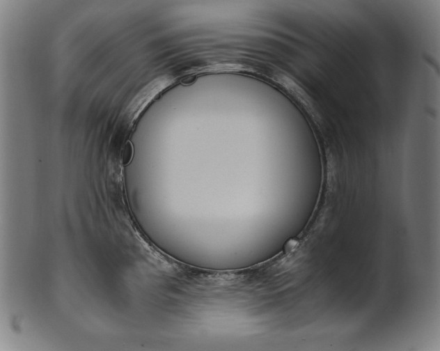 X0000101191193200807110937