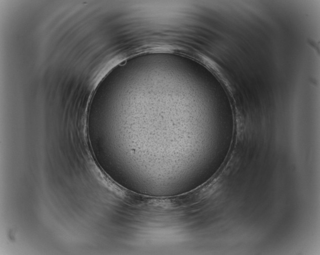 X0000101191194200807110937