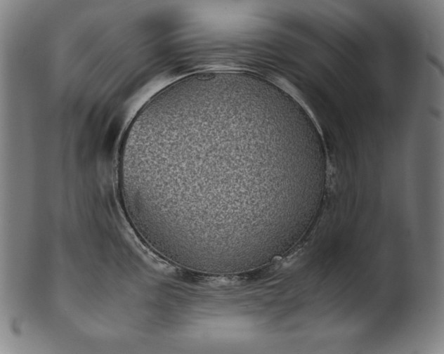 X0000101191195200807110937