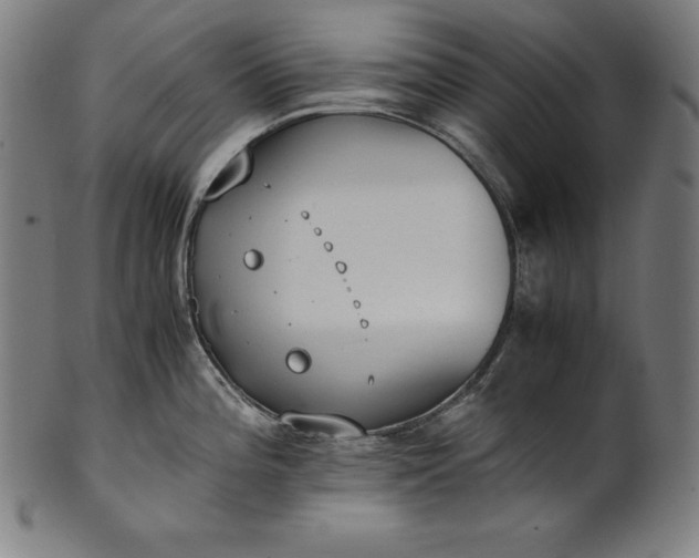 X0000101191196200807110937