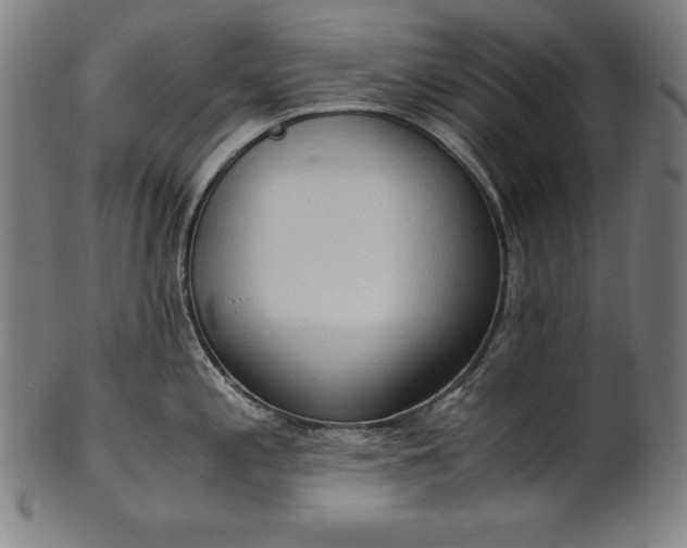 X0000101191197200807110937