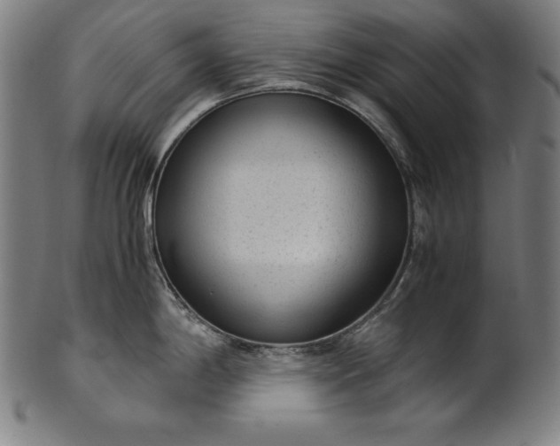 X0000101191198200807110937