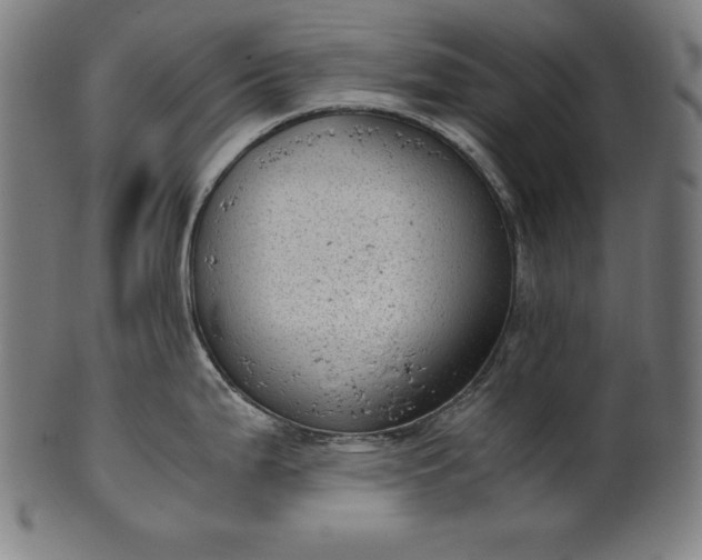 X0000101191199200807110937