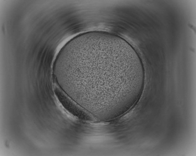 X0000101191200200807110937