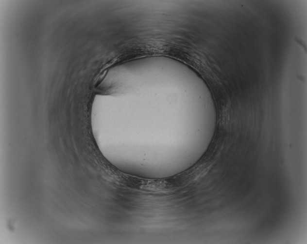 X0000101191201200807110936