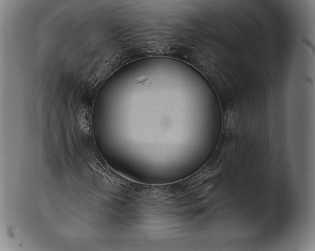 X0000101191202200807110936