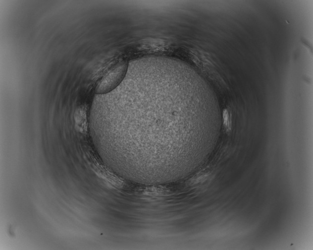 X0000101191203200807110936