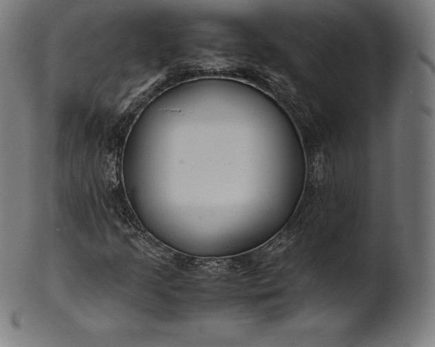 X0000101191205200807110936
