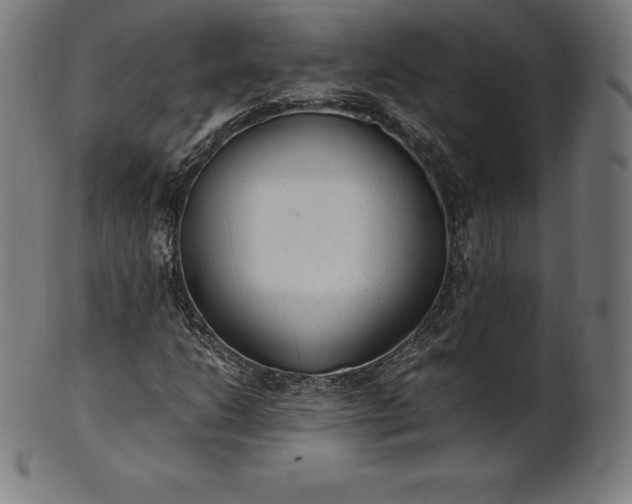 X0000101191206200807110936