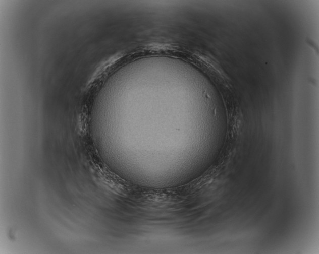 X0000101191207200807110936