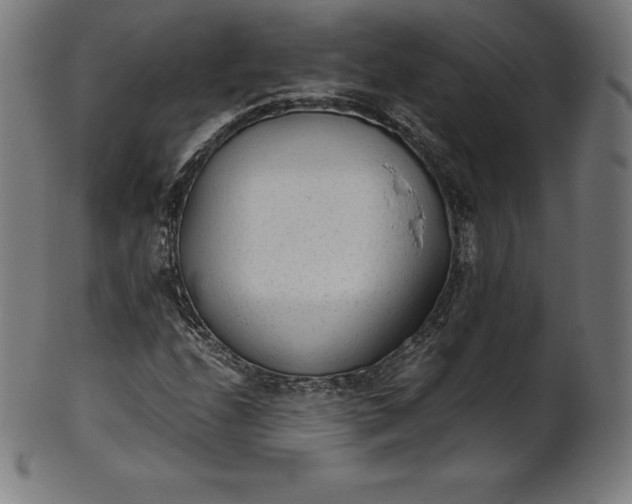 X0000101191208200807110936