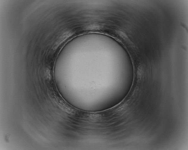 X0000101191209200807110936