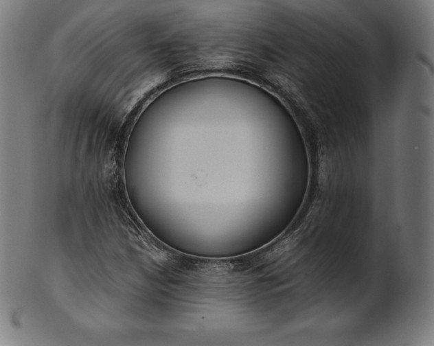 X0000101191210200807110936