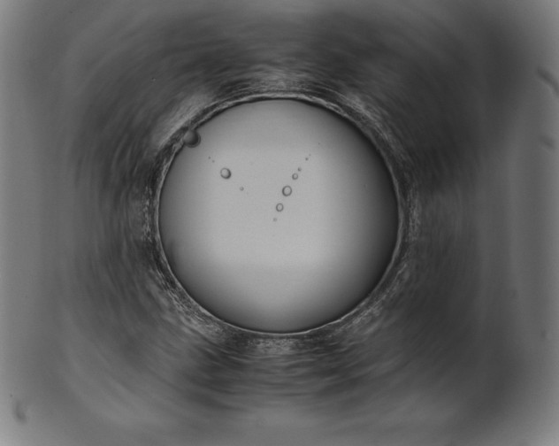 X0000101191211200807110936