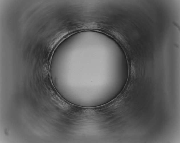 X0000101191212200807110936
