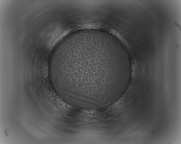 X0000101191213200807110936