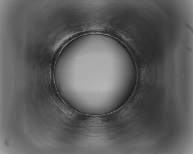 X0000101191214200807110936