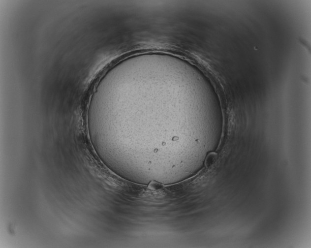 X0000101191215200807110937