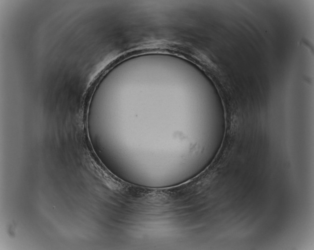 X0000101191216200807110937