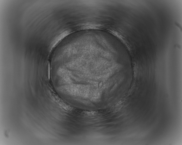 X0000101191219200807110937