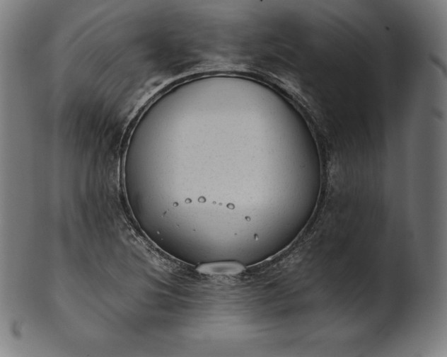 X0000101191220200807110937