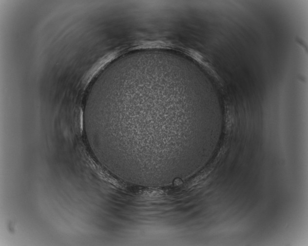 X0000101191221200807110937