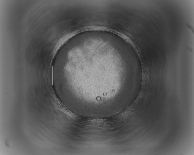 X0000101191223200807110937