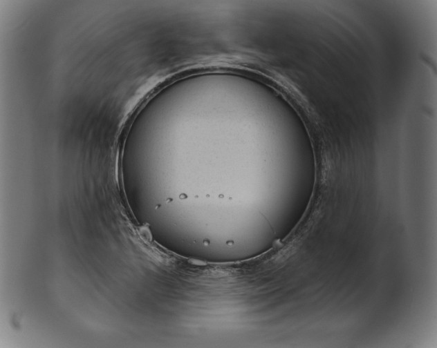 X0000101191224200807110937