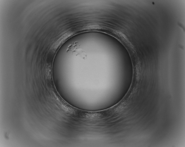 X0000101191225200807110937