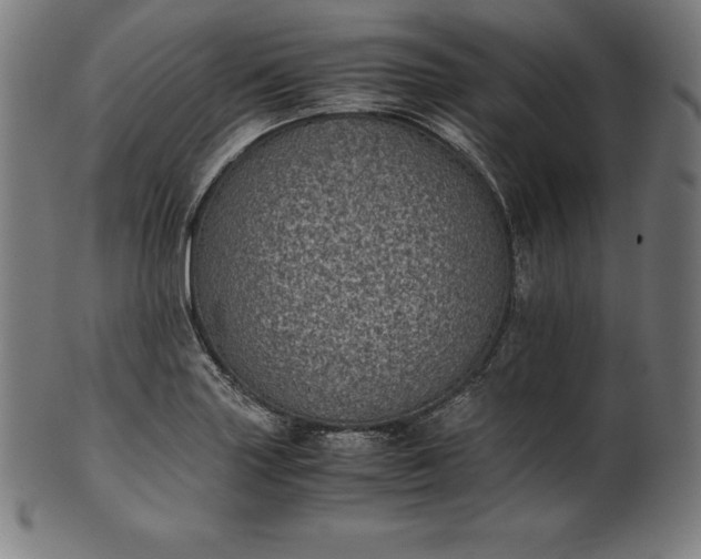 X0000101191227200807110937