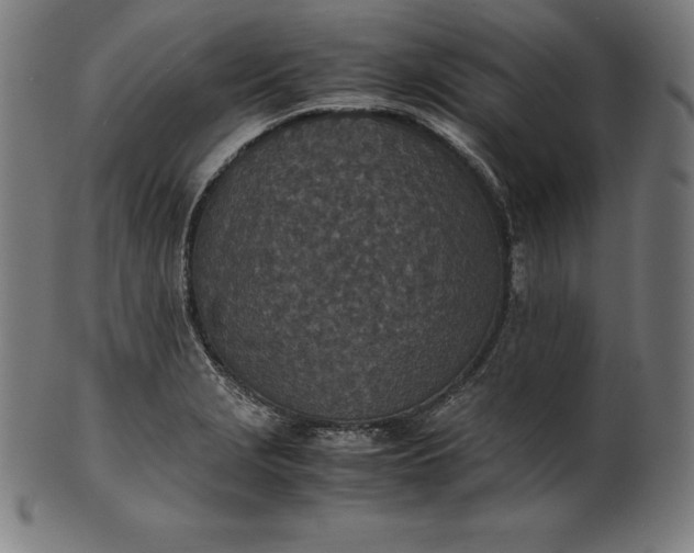 X0000101191229200807110937