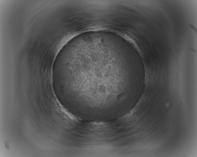 X0000101191231200807110937
