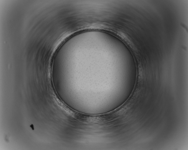 X0000101191232200807110937
