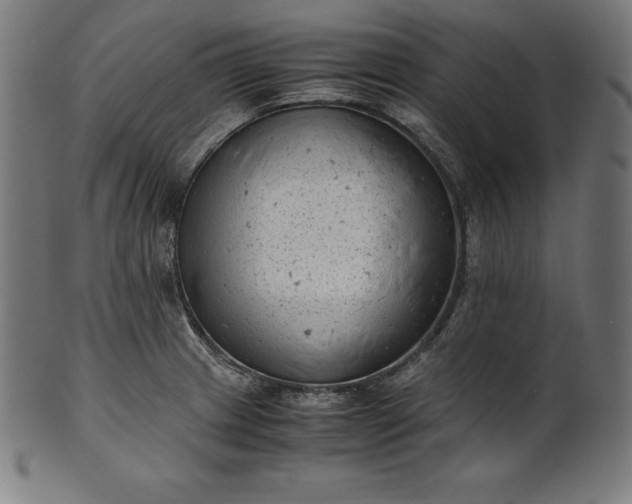 X0000101191233200807110937