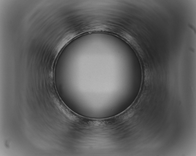 X0000101191234200807110937