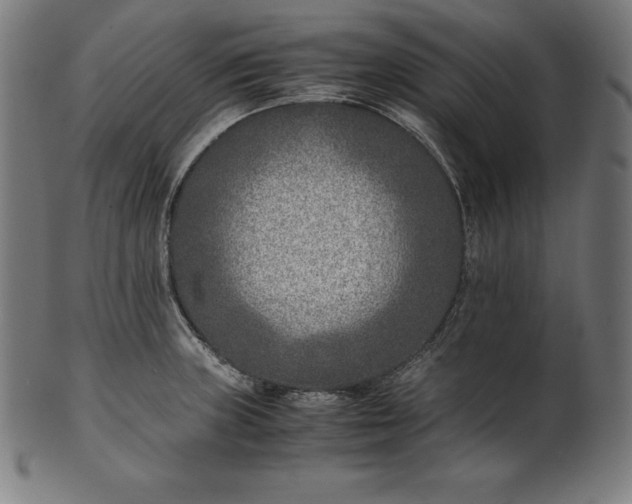 X0000101191235200807110937