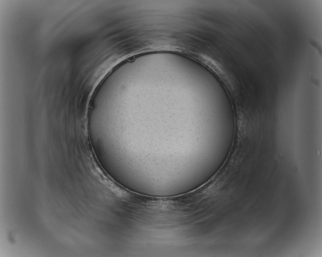 X0000101191236200807110937