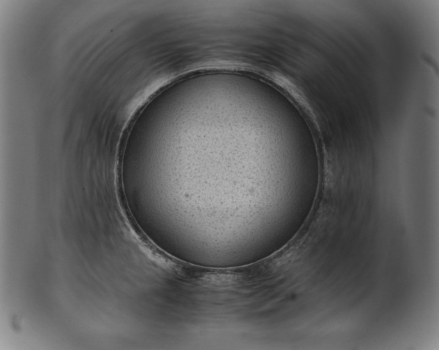 X0000101191237200807110937