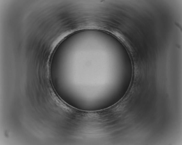 X0000101191238200807110937