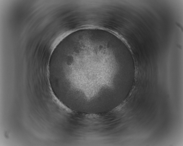 X0000101191239200807110937