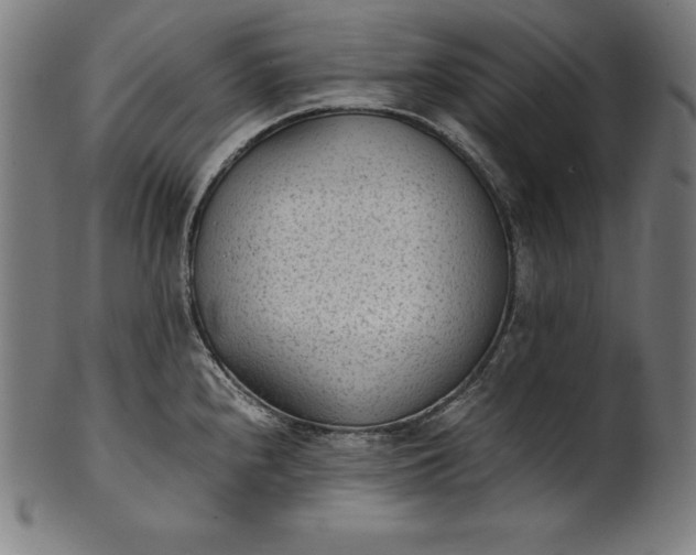 X0000101191240200807110937