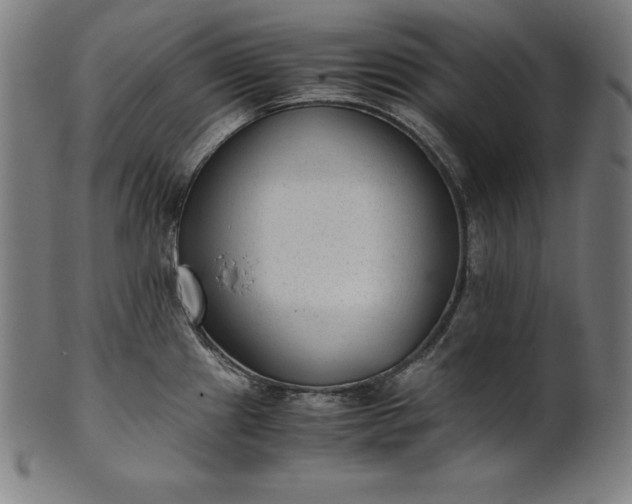 X0000101191241200807110937